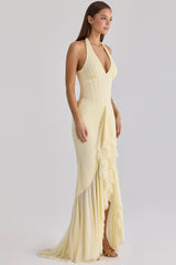 lemon mesh silhouette maxi dress