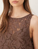lace mini shift dress in chocolate